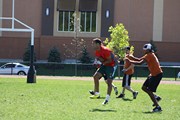 OTFL Gallery Image